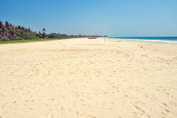 istock beautiful landscape with beach 1031507088