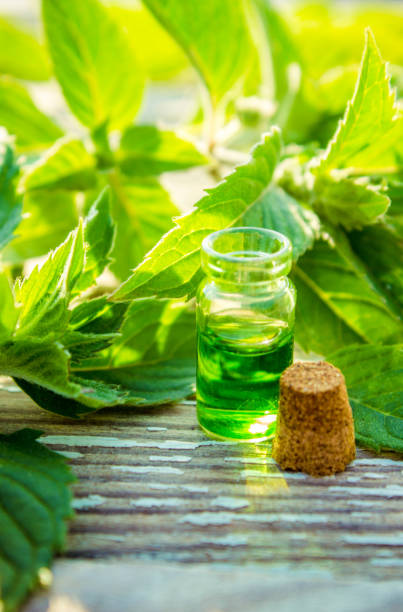 istock peppermint essential oil in a small jar. Selective focus. 1031507388