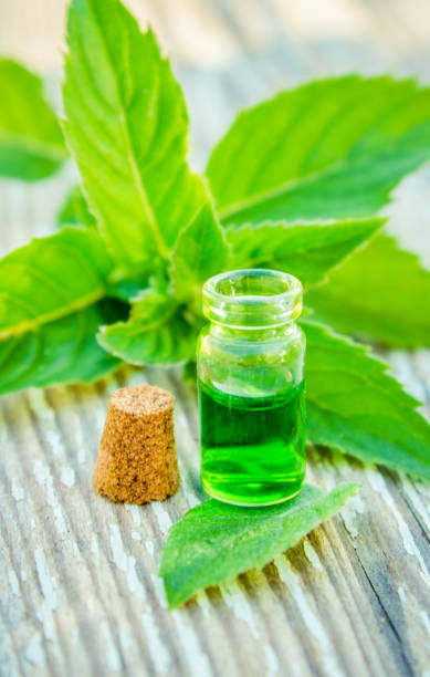 istock peppermint essential oil in a small jar. Selective focus. 1031507398