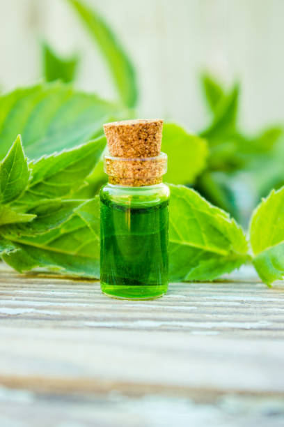 istock peppermint essential oil in a small jar. Selective focus. 1031507428