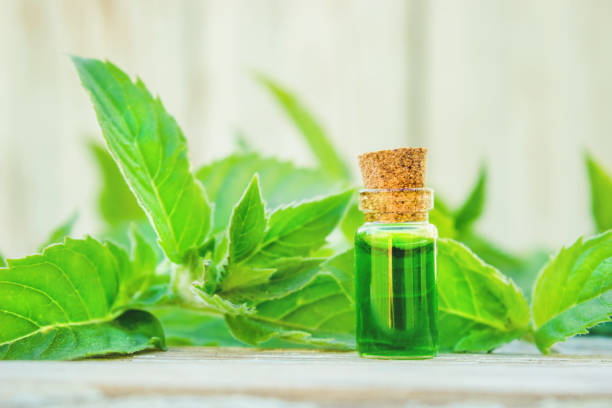 istock peppermint essential oil in a small jar. Selective focus. 1031507458