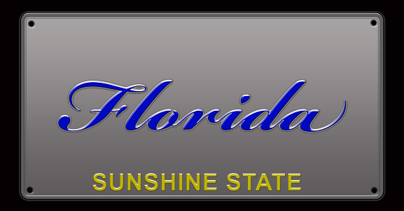 Florida License Plate illustration