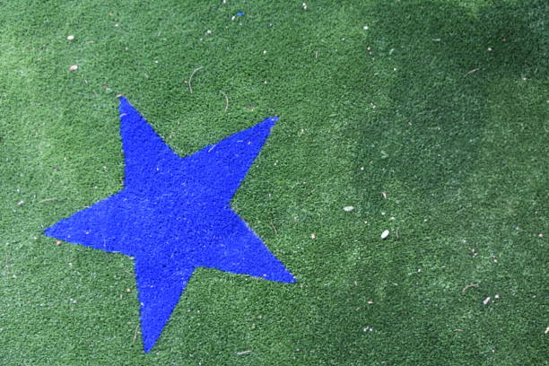 istock Looking down at the landscaped synthetic grass 1031515210