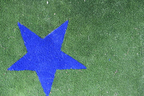 istock Looking down at the landscaped synthetic grass 1031518668