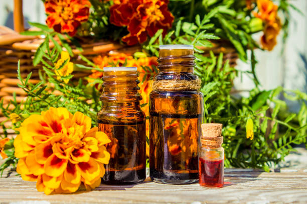 istock nettle tincture in a small bottle and fresh leaves on white wood, medicinal herb for overweight, diabetics and kidney weakness, selected focus, narrow depth of field 1031522526