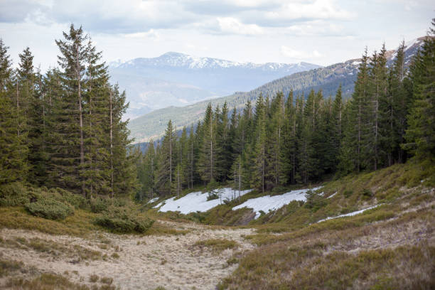 istock green grass with blue sky and snow mountain 1031523076
