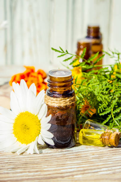 istock Chamomile essential oil. Selective focus. butle little. 1031523560