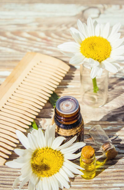 istock Chamomile essential oil. Selective focus. butle little. 1031524352