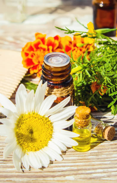 istock Chamomile essential oil. Selective focus. butle little. 1031525146