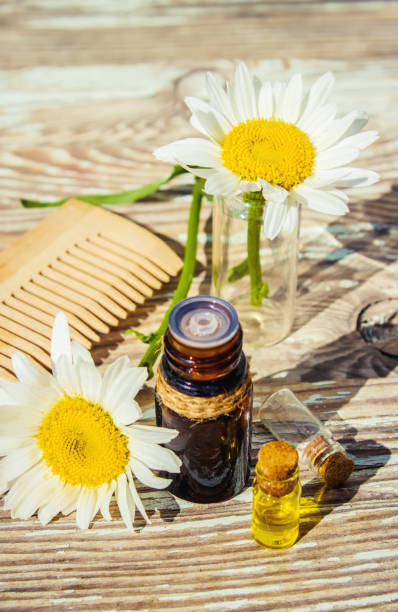 istock Chamomile essential oil. Selective focus. butle little. 1031525176