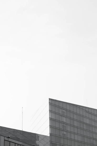 istock Stunning architectural dynamic shape building with blank space. Black and white 1031525180