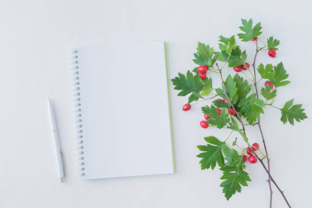 istock Mockup notebook and branch with red berries 1031534198