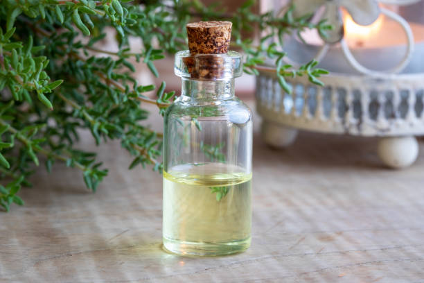 istock A bottle of thyme essential oil with fresh thyme twigs 1031538736