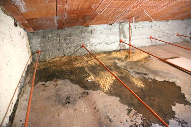 istock wet attic with moisture problems and infiltrations 1031541780