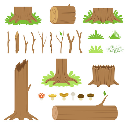 Set of forest tree stumps, logs, sticks, branches, grasses and mushrooms. Vector modern illustration