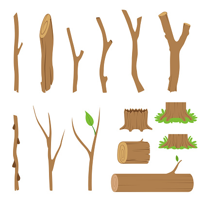 Hemp, logs, branches and sticks of forest trees. Vector cartoon illustration