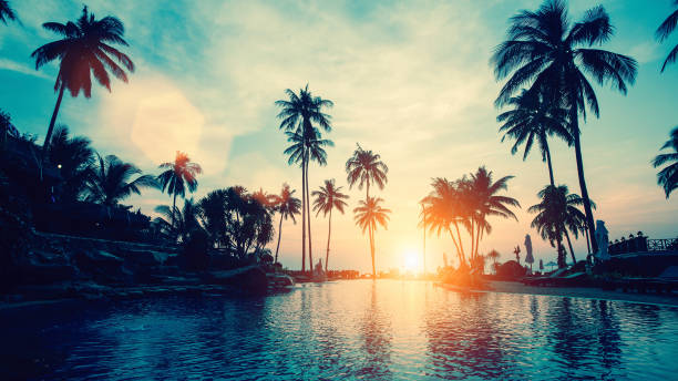istock Amazing sunset on palm coast sea in subtropics. 1031551800