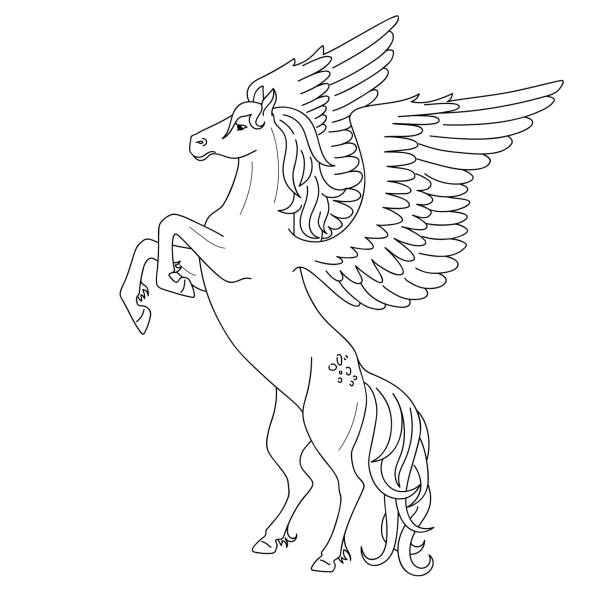 ilustraciones, imágenes clip art, dibujos animados e iconos de stock de contorno negro aislado cría pegasus sobre fondo blanco. vista lateral del caballo con alas. líneas de la curva. página de libro para colorear. - mythology horse pegasus black and white