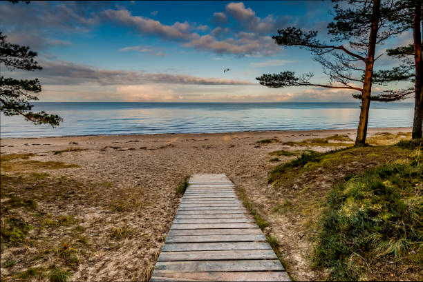 istock Autumnal coastal landscape in Jurmala, Latvia 1031563440