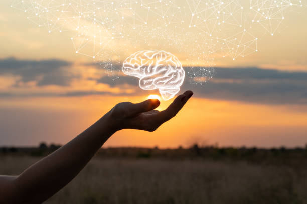 Hand shows the brain . Hand shows the brain in the sun and sky. pictures of people thinking stock pictures, royalty-free photos & images