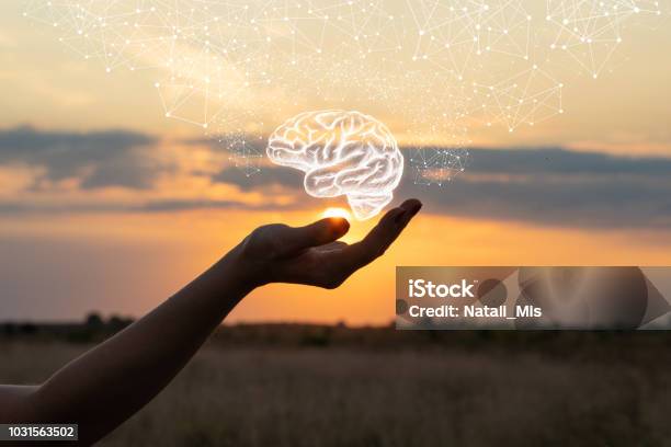 Hand Shows The Brain Stock Photo - Download Image Now - Mental Health, Healthcare And Medicine, Intelligence