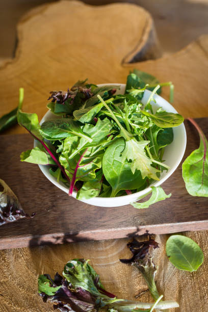 istock Mix of fresh leaves 1031563522