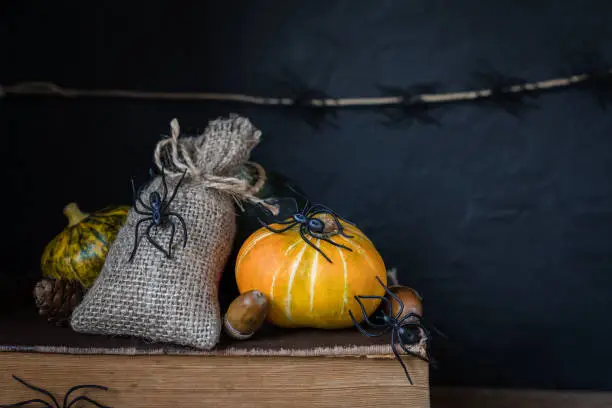 Halloween holiday background with pumpkin lantern spiders old books black witchhat toned