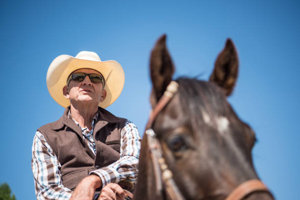 istock Senior cowboy on his horse 1031593084