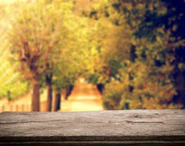 istock Wooden pier and autumn 1031593286