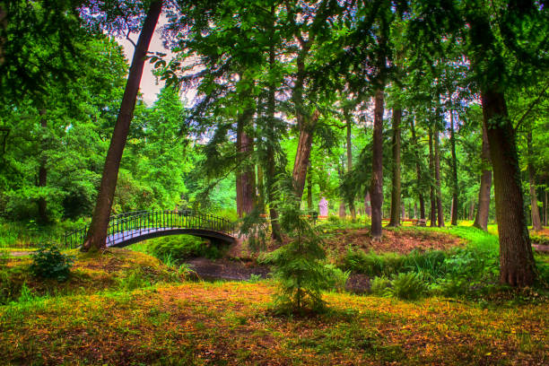 istock Park lit by the summer sun 1031593422