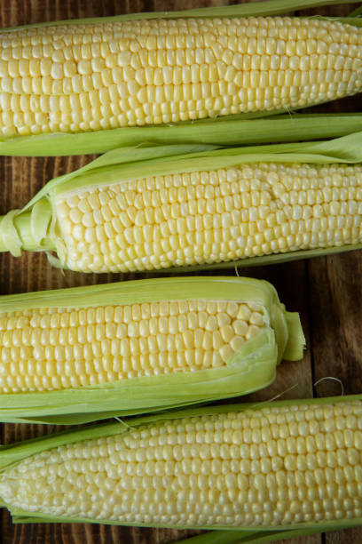 istock The young cobs of fresh yellow corn. 1031595976