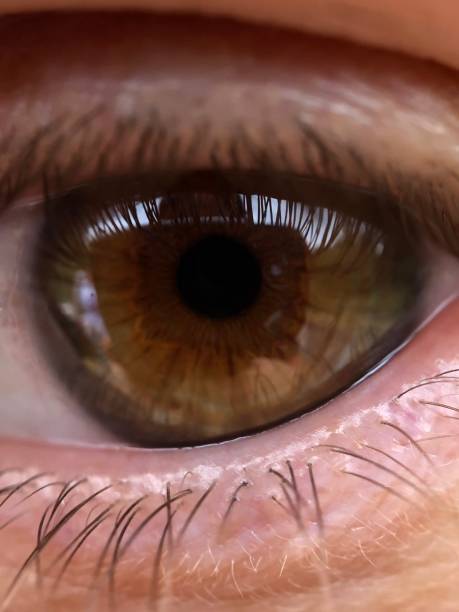 istock Very close shot of one eye, hazel color iris 1031596222