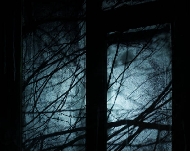 istock Gloomy and terrible view of the window 1031604368