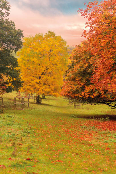 istock Autumn in the park - natural scenery 1031606994