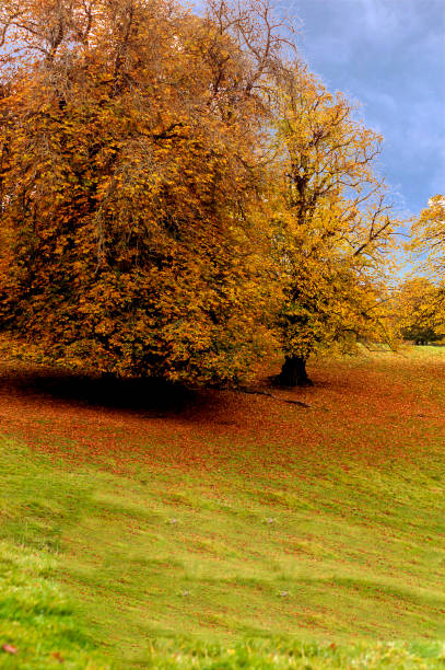 istock Autumn in the park - natural scenery 1031607352