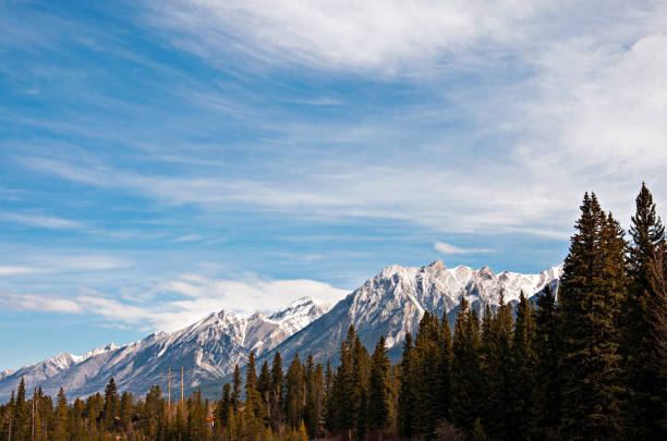 The mountains of Canmore peek over the trees on a clear day