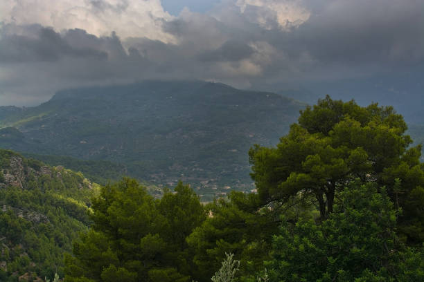 Majestic mountain landscape with sun and shade and green nuances before thunderstorm Majestic mountain landscape with sun and shade and green nuances before thunderstorm in August, Mallorca, Spain. 2933 stock pictures, royalty-free photos & images