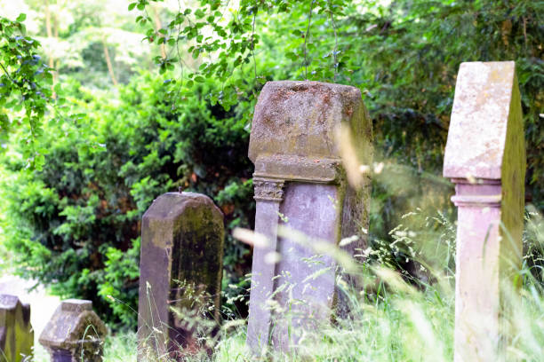 istock Old tombstone in cemetery, background with copy space 1031634108