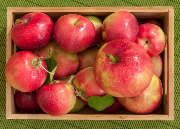istock Small red apples in bamboo crate, top view 1031637642