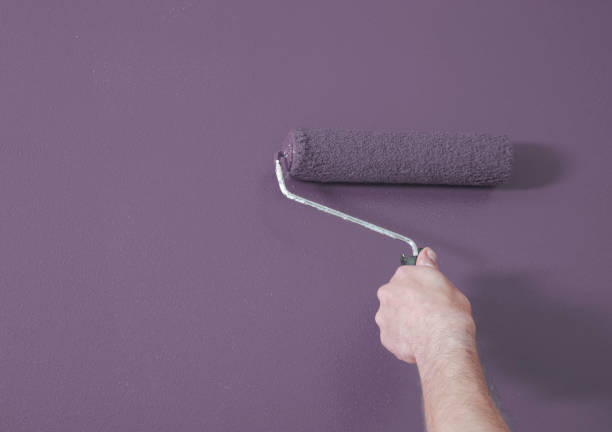 istock Person Painting a Wall Purple with a Paint Roller 1031660084