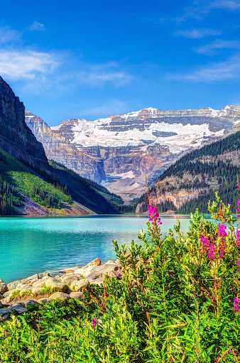 Lake Louise in Banff National Park with its glacier-fed turquoise lakes, beautiful flower bed in the foreground and Mount Victoria Glacier in the background. Vertical orientation.