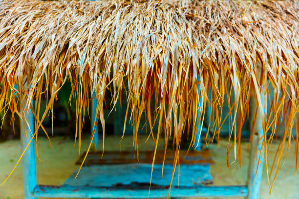 View through beach bamboo umbrella