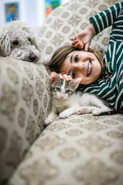 Photo of Kitten and Kid