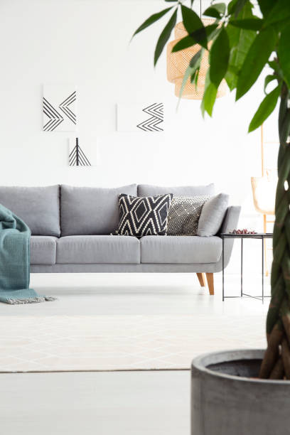 istock Patterned pillows on grey settee with blanket in white living room interior with plant. Real photo 1031705802