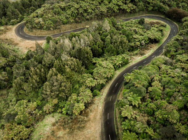 istock Drone photo of winding road through forest 1031709296