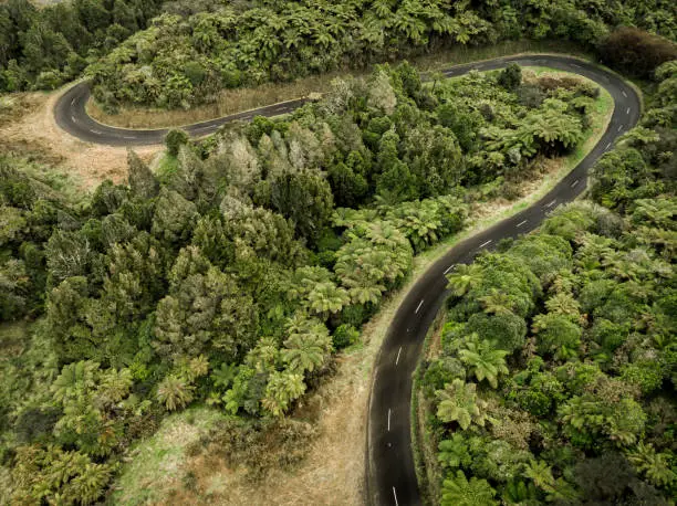 Aerial photo of winding road through forest in New Zealand