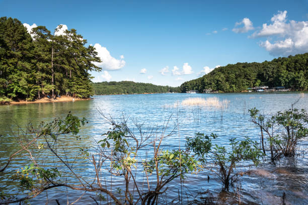 istock People swimming and boating in Lake Lanier 1031728254