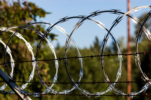 Razor wire fence shining in the sun with trees in the background
