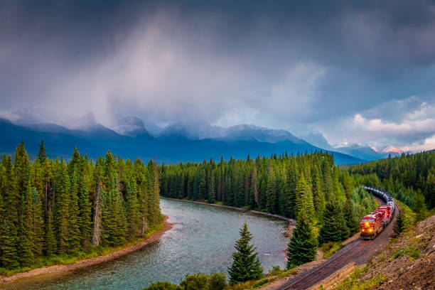 Train passing famous Morant's curve ,Banff National Park, Canadian Train - Vehicle, Alberta, Bow Valley Parkway, Canada, Famous Place canadian culture stock pictures, royalty-free photos & images