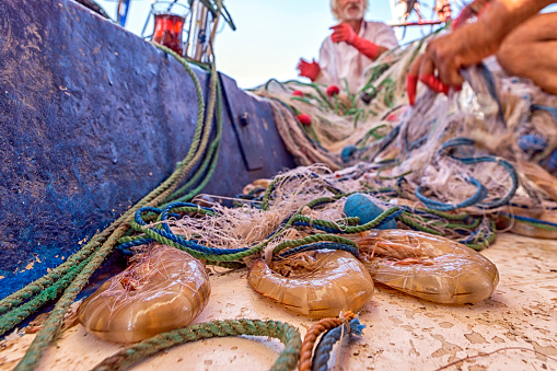 Big shrimps ( Prawn ) in fishing net. Prawns are a common name for small aquatic crustaceans with an exoskeleton and ten legs, some of which can be eaten. Other names: jumbo and king shrimp.